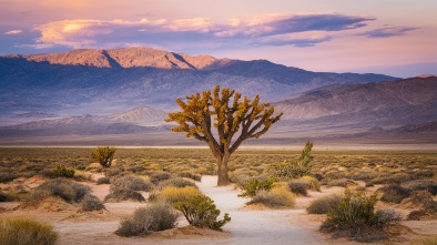 death valley national park