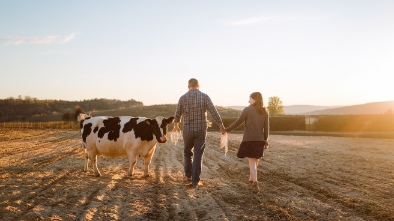 dellosso family farm