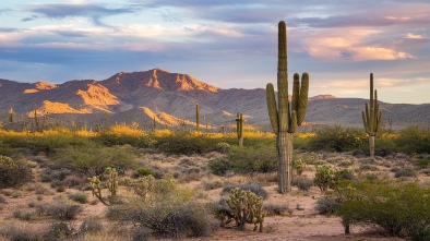 prime desert woodland preserve